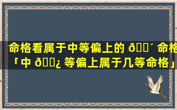 命格看属于中等偏上的 🌴 命格「中 🌿 等偏上属于几等命格」